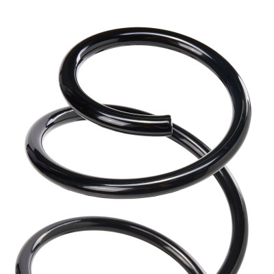 Suspension Spring RIDEX 188C0323 188C0323 - photo 8