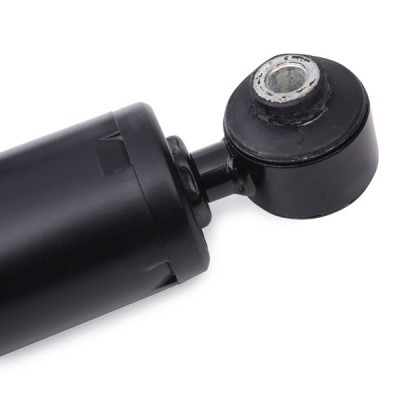 Shock Absorber RIDEX 854S0024 854S0024 - photo 5