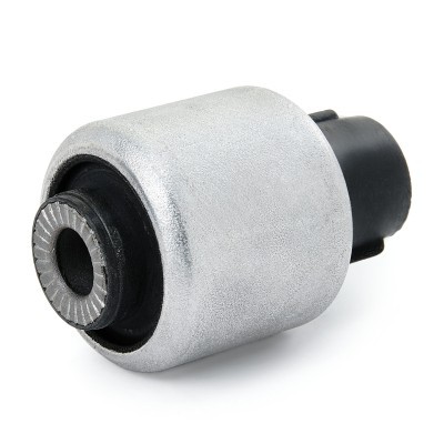 Control Arm Bushing RIDEX 251T0300 251T0300 - photo 4