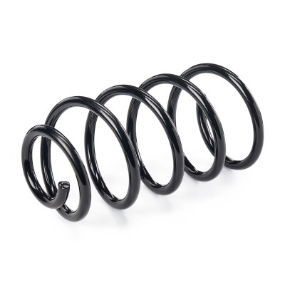 Suspension Spring RIDEX 188C0241 188C0241 - photo 6