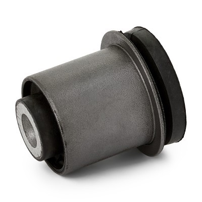 Control Arm Bushing RIDEX 251T0154 251T0154 - photo 4