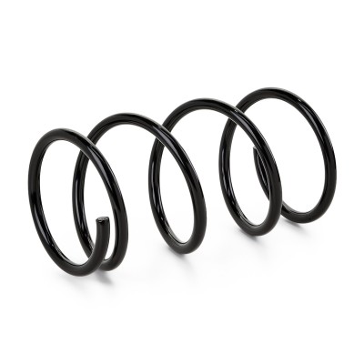 Suspension Spring RIDEX 188C0149 188C0149 - photo 4