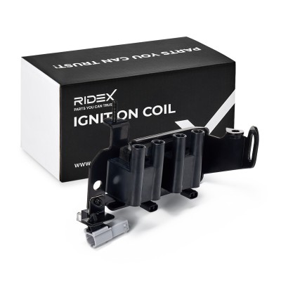 Ignition Coil RIDEX 689C0191 689C0191 - photo 2