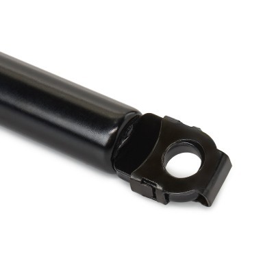 Bonnet  Gas Spring RIDEX 514G0101 514G0101 - photo 6