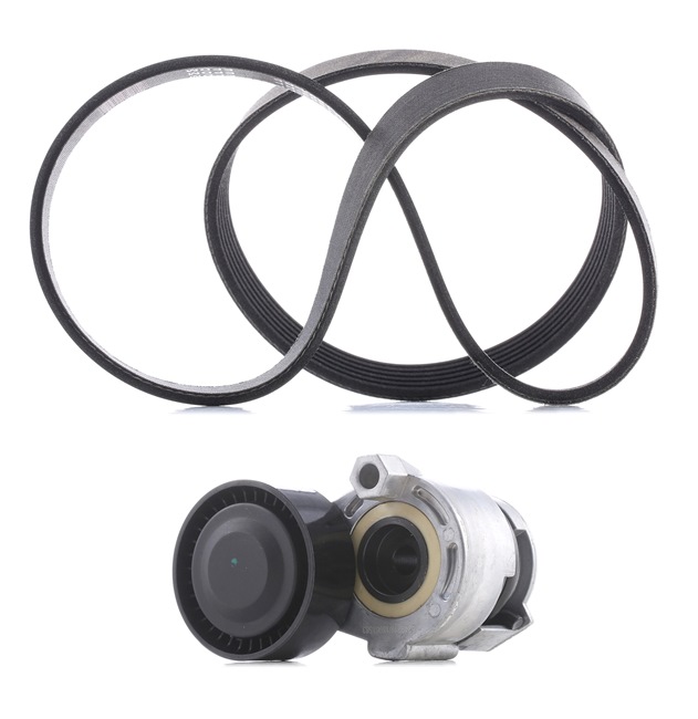 Drive Belt Kit RIDEX 542R0215P 542R0215P - photo 1