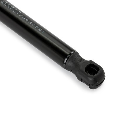 Bonnet  Gas Spring RIDEX 514G0179 514G0179 - photo 5