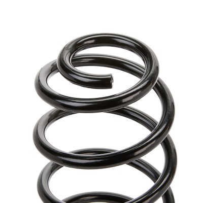 Suspension Spring RIDEX 188C0285 188C0285 - photo 6