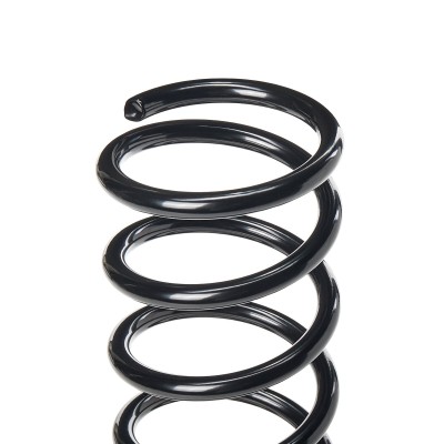 Suspension Spring RIDEX 188C0022 188C0022 - photo 5