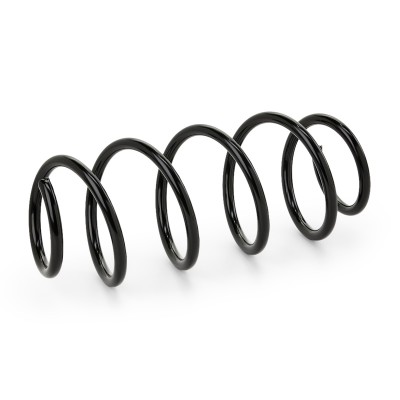 Suspension Spring RIDEX 188C0313 188C0313 - photo 3