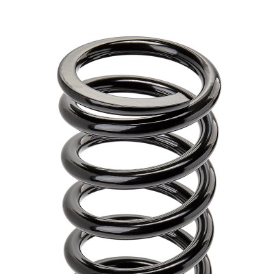 Suspension Spring RIDEX 188C0309 188C0309 - photo 8