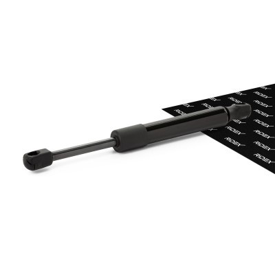 Bonnet  Gas Spring RIDEX 514G0008 514G0008 - photo 1