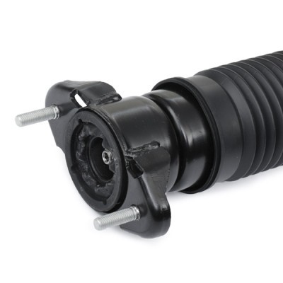 Shock Absorber RIDEX 854S2387 854S2387 - photo 6