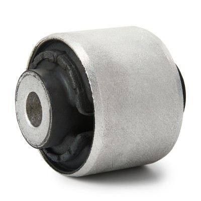 Control Arm Bushing RIDEX 251T0236P 251T0236P - photo 4