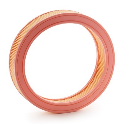 Air Filter RIDEX 8A0972 8A0972 - photo 4