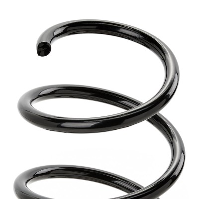Suspension Spring RIDEX 188C0399 188C0399 - photo 7
