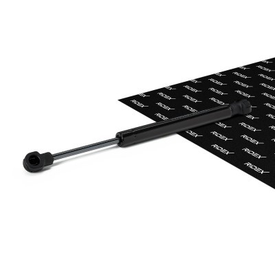 Bonnet  Gas Spring RIDEX 514G0019 514G0019 - photo 2
