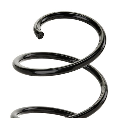 Suspension Spring RIDEX 188C0310 188C0310 - photo 7