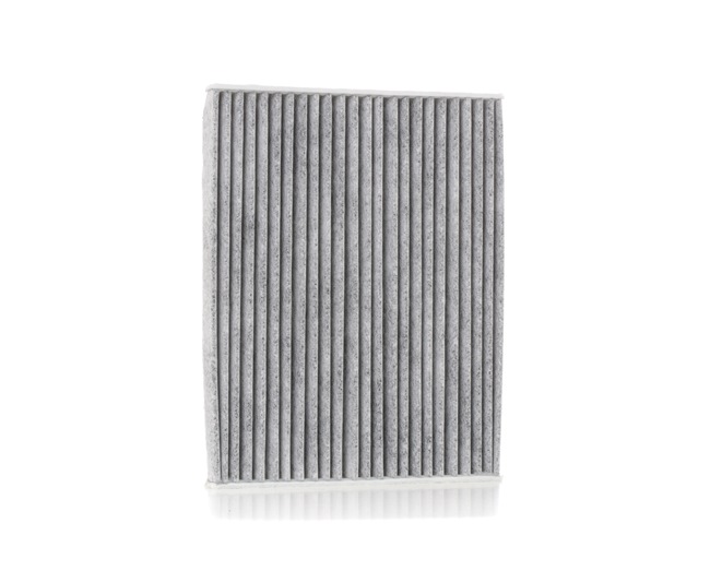 Cabin Air Filter RIDEX 424I0406 424I0406 - photo 1