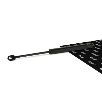 Bonnet  Gas Spring RIDEX 514G0101 514G0101 - photo 1