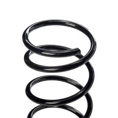 Suspension Spring RIDEX 188C0163 188C0163 - photo 7
