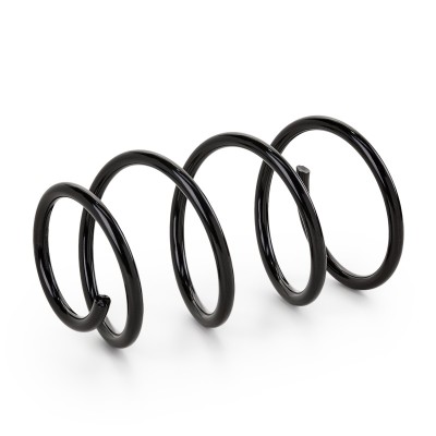 Suspension Spring RIDEX 188C0499 188C0499 - photo 6