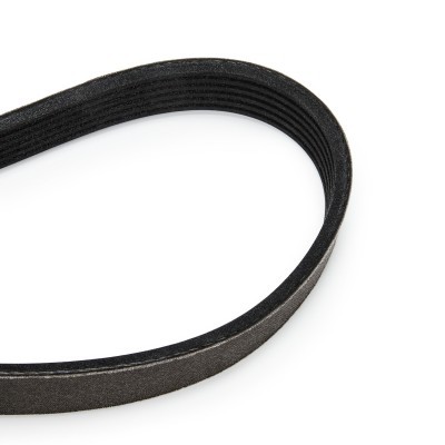 Drive Belt Kit RIDEX 542R0043P 542R0043P - photo 14