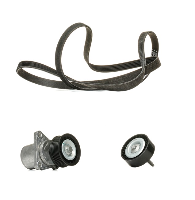Drive Belt Kit RIDEX 542R0286P 542R0286P - photo 1