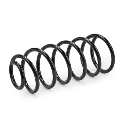 Suspension Spring RIDEX 188C0002 188C0002 - photo 7