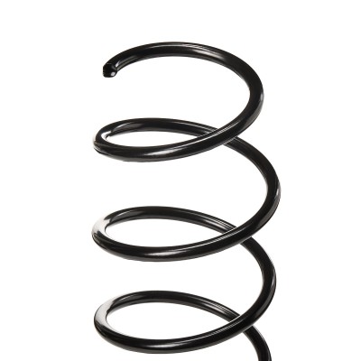 Suspension Spring RIDEX 188C0391 188C0391 - photo 5