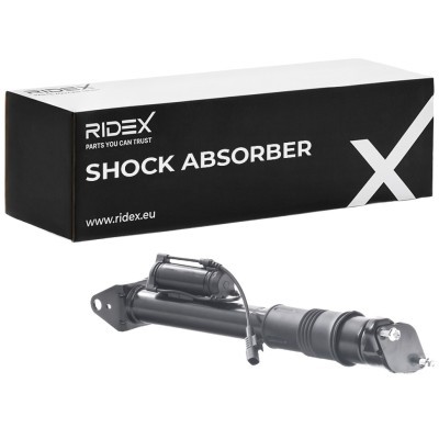 Shock Absorber RIDEX 854S2513 854S2513 - photo 2