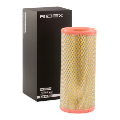 Air Filter RIDEX 8A0366 8A0366 - photo 2