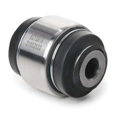 Control Arm Bushing RIDEX 251T0172P 251T0172P - photo 4