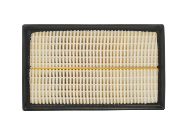 Air Filter RIDEX 8A0329 8A0329 - photo 1