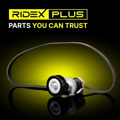 Drive Belt Kit RIDEX 542R0313P 542R0313P - photo 8