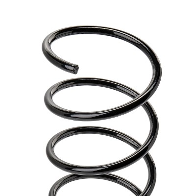Suspension Spring RIDEX 188C0344 188C0344 - photo 8