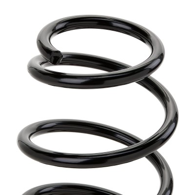 Suspension Spring RIDEX 188C0376 188C0376 - photo 4
