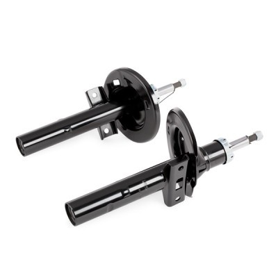 Shock Absorber RIDEX 854S1551 854S1551 - photo 9
