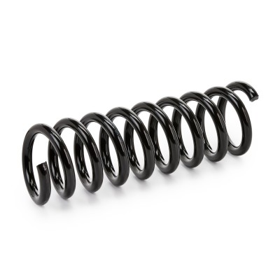 Suspension Spring RIDEX 188C0170 188C0170 - photo 4