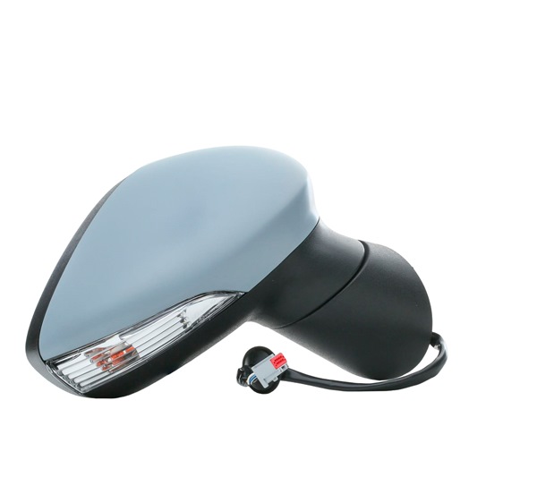 Wing Mirror RIDEX 50O0813 50O0813 - photo 1