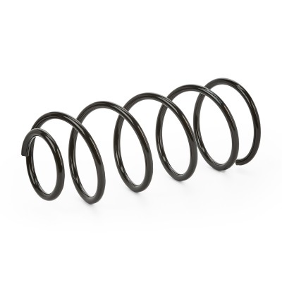 Suspension Spring RIDEX 188C0135 188C0135 - photo 6