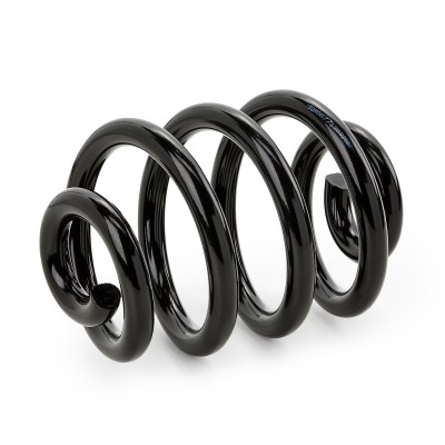 Suspension Spring RIDEX 188C0346 188C0346 - photo 6