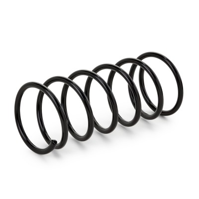 Suspension Spring RIDEX 188C0525 188C0525 - photo 4