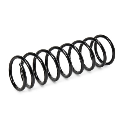 Suspension Spring RIDEX 188C0480 188C0480 - photo 4