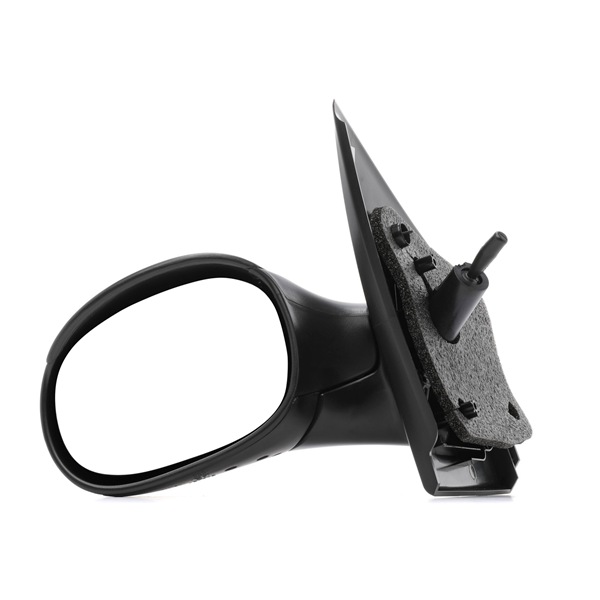 Wing Mirror RIDEX 50O0282 50O0282 - photo 1