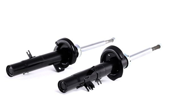 Shock Absorber RIDEX 854S0805 854S0805 - photo 1