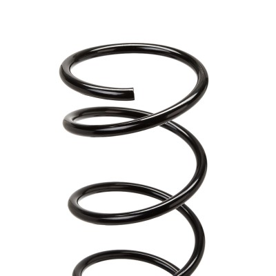 Suspension Spring RIDEX 188C0106 188C0106 - photo 4