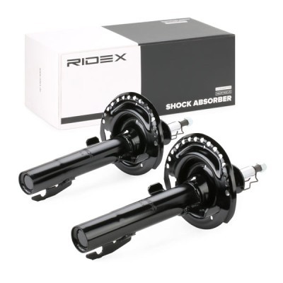 Shock Absorber RIDEX 854S1607 854S1607 - photo 3