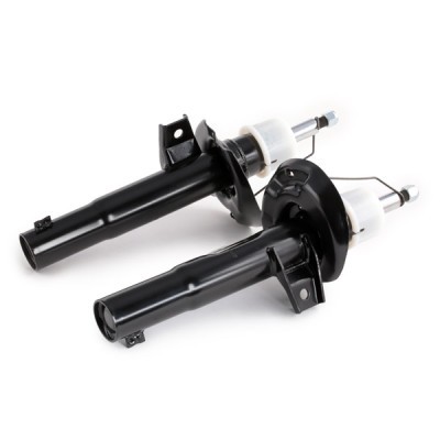 Shock Absorber RIDEX 854S1546 854S1546 - photo 4
