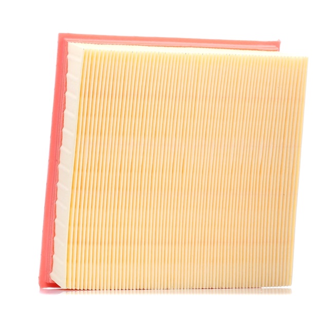 Air Filter RIDEX 8A0104 8A0104 - photo 1