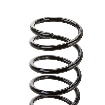 Suspension Spring RIDEX 188C0382 188C0382 - photo 6